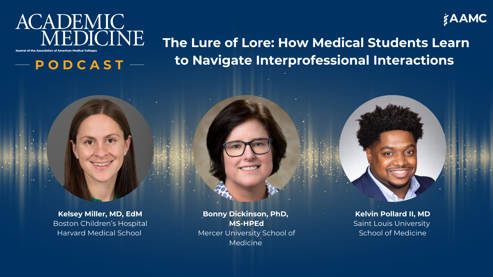 The Lure of Lore: How Medical Students Learn to Navigate ...
